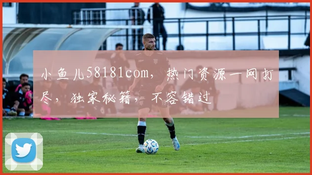 小鱼儿58181com，热门资源一网打尽，独家秘籍，不容错过