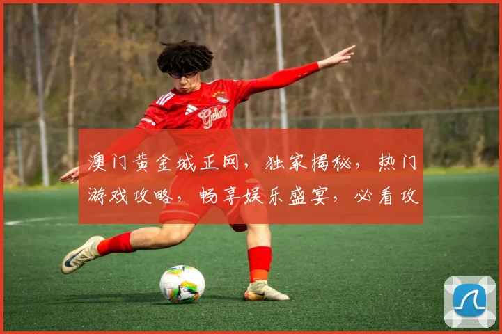 澳门黄金城正网，独家揭秘，热门游戏攻略，畅享娱乐盛宴，必看攻略，不容错过