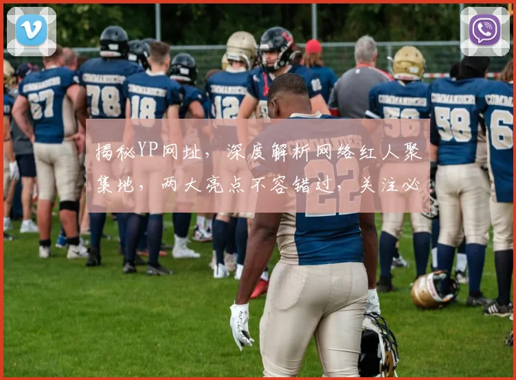 揭秘YP网址，深度解析网络红人聚集地，两大亮点不容错过，关注必看