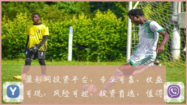 盈彩网投资平台，专业可靠，收益可观，风险可控，投资首选，值得信赖，体验非凡。
