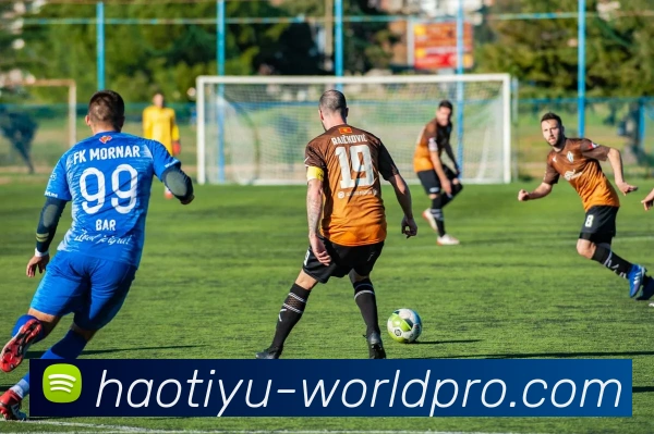 企业概况